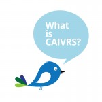 bird asking "what is caivrs"