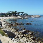 Monterey Is Known For It's Coastline