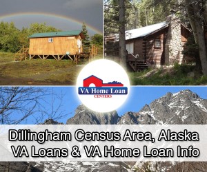 Dillingham Census Area homes fors ale