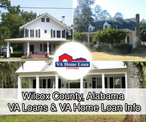 Wilcox county homes for sale