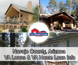 Navajo County, Arizona homes for sale