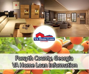 Forsyth County VA Home Info